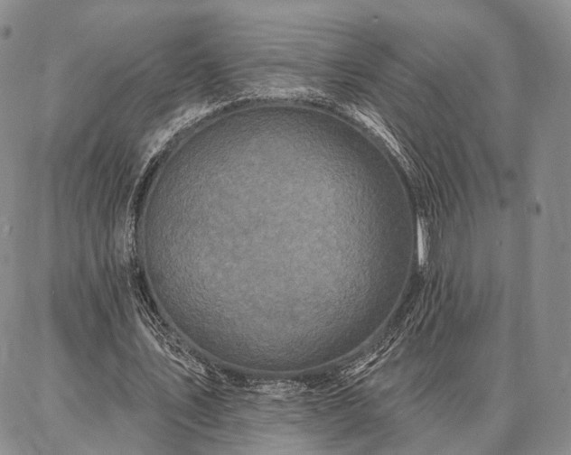 X0000086880579200704231105