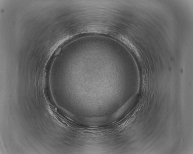 X0000086880580200704231105