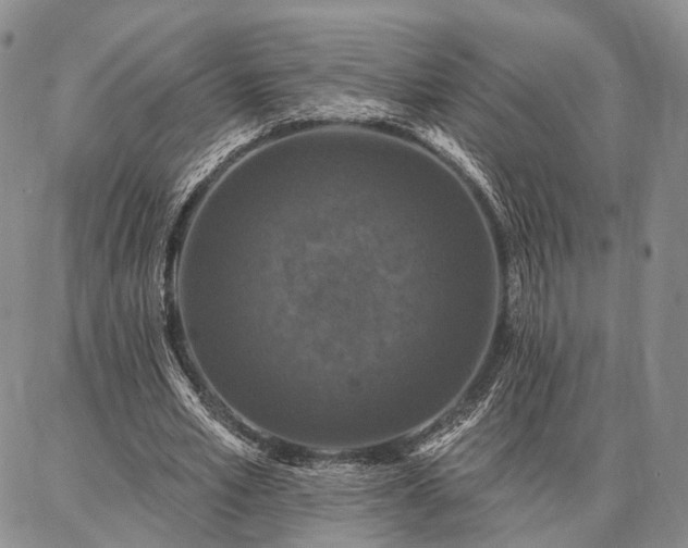 X0000086880581200704231105