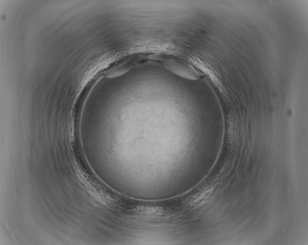 X0000086880582200704231105