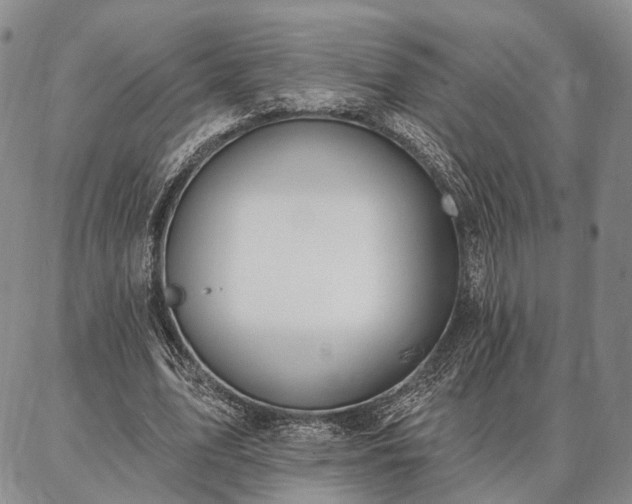 X0000086880583200704231105