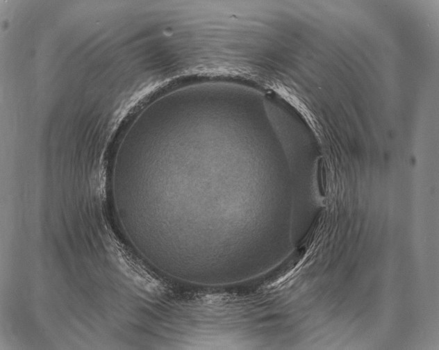 X0000086880584200704231105