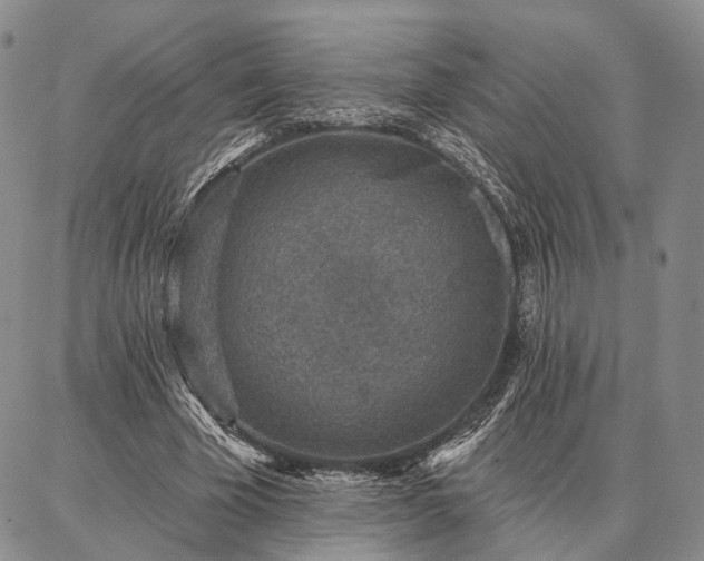 X0000086880585200704231105