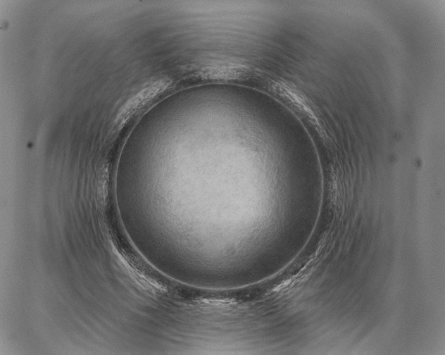 X0000086880586200704231105