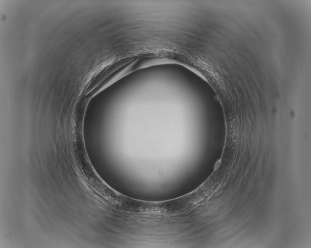 X0000086880587200704231105