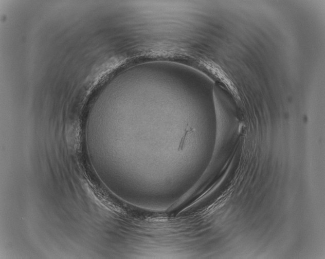 X0000086880588200704231105