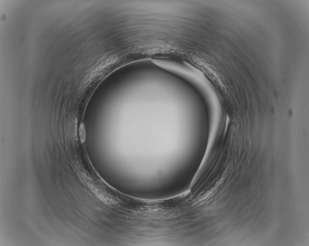 X0000086880589200704231105