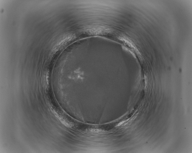 X0000086880590200704231105