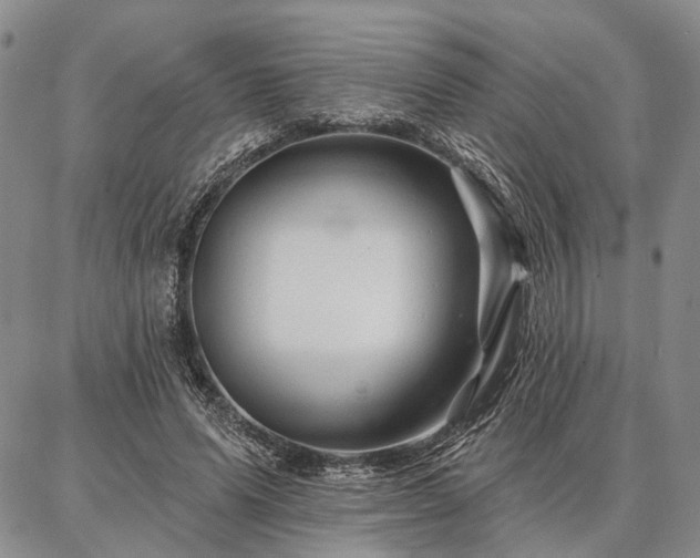 X0000086880591200704231105