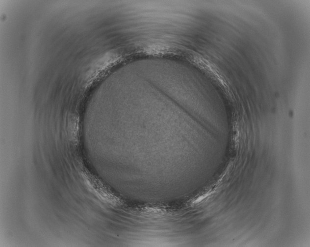 X0000086880592200704231105