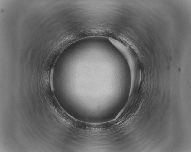 X0000086880593200704231105