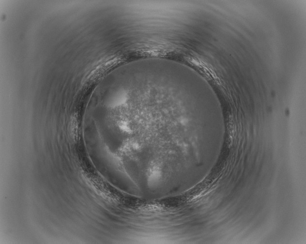 X0000086880594200704231105