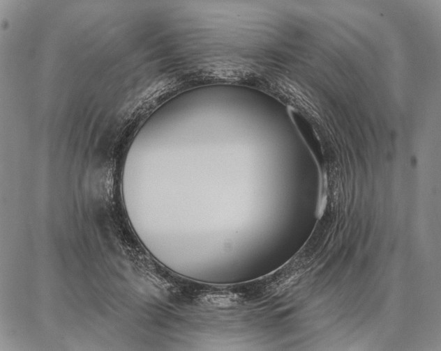 X0000086880595200704231105