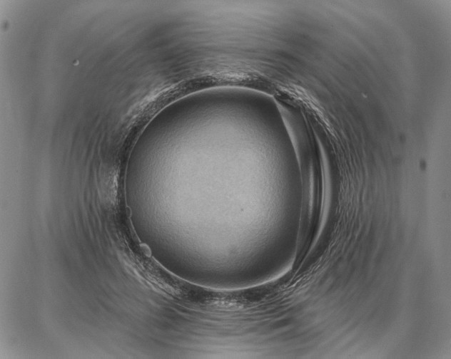 X0000086880596200704231105