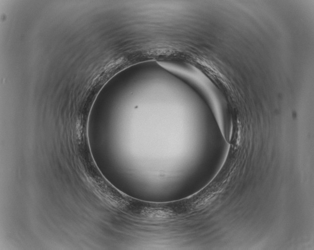 X0000086880597200704231105