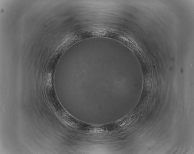 X0000086880598200704231105