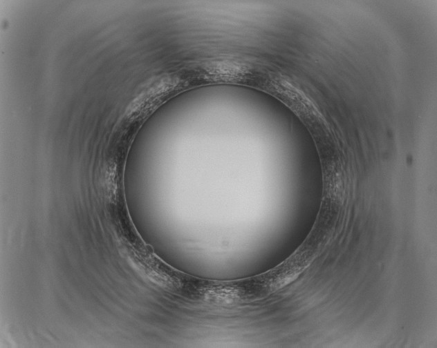 X0000086880599200704231105