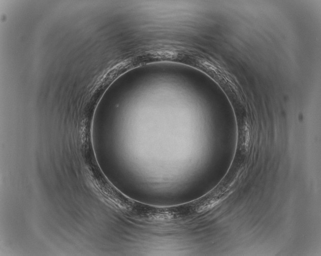 X0000086880600200704231105