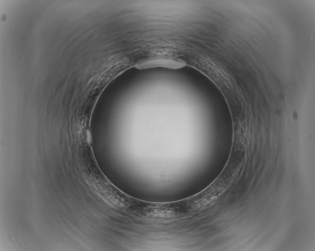 X0000086880601200704231105