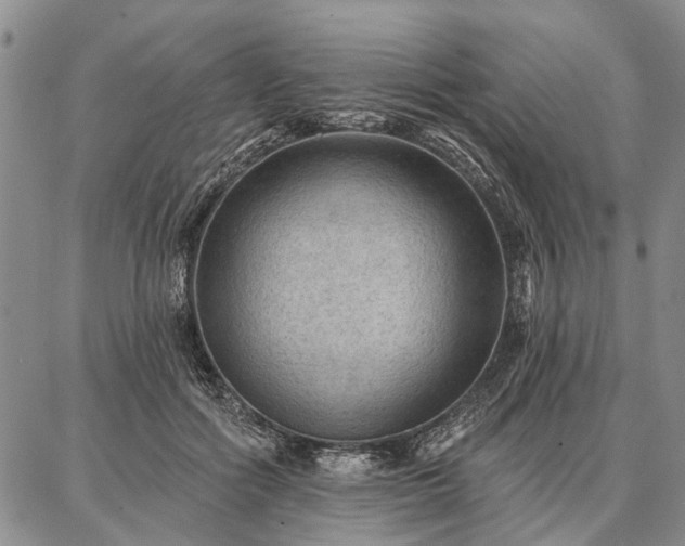 X0000086880602200704231105