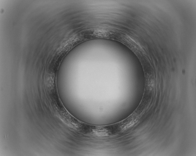 X0000086880603200704231105