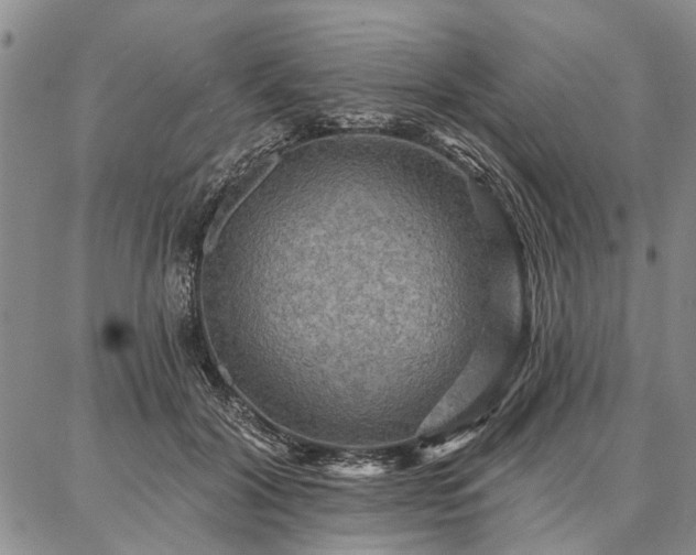 X0000086880604200704231105