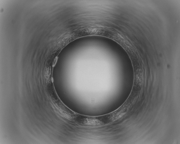 X0000086880605200704231105