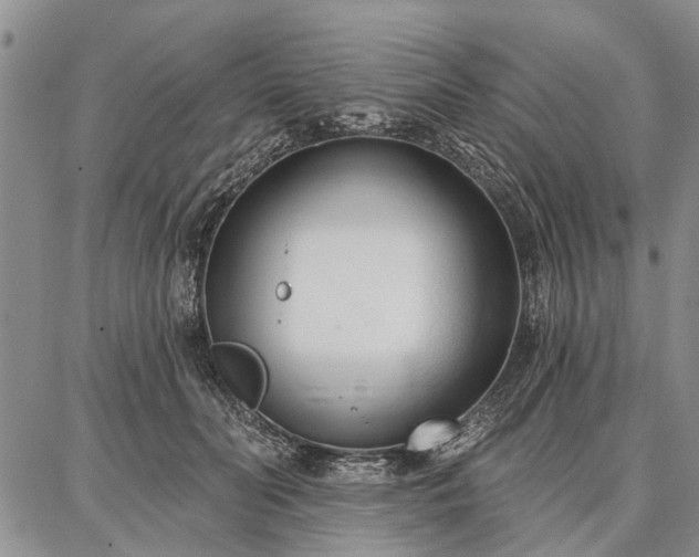 X0000086880606200704231105