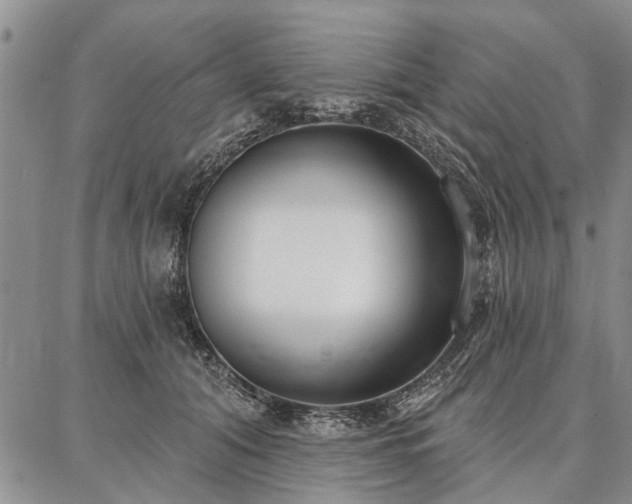 X0000086880608200704231105