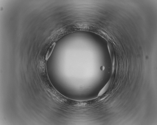 X0000086880609200704231105