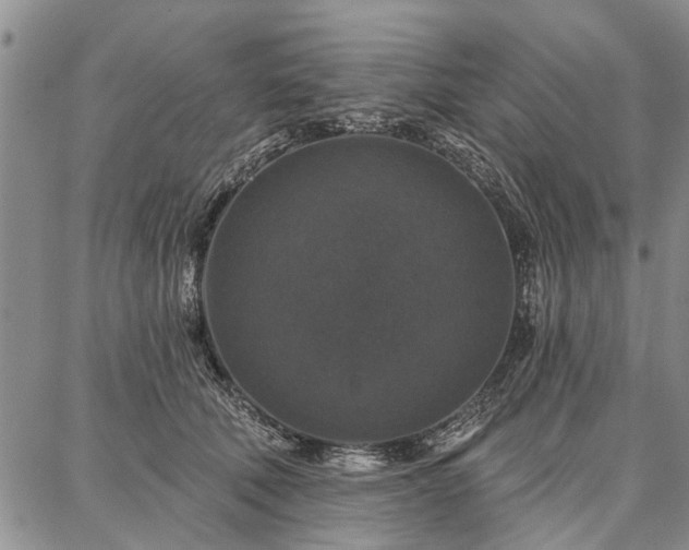 X0000086880610200704231105