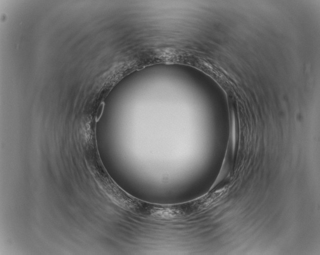 X0000086880611200704231104