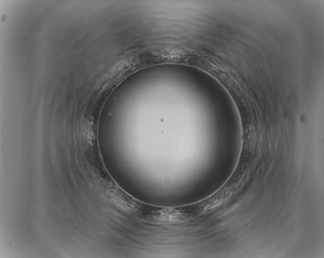 X0000086880612200704231104