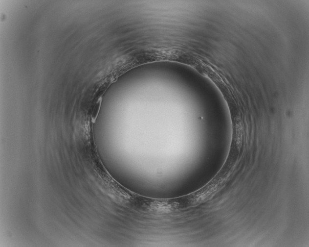 X0000086880613200704231104