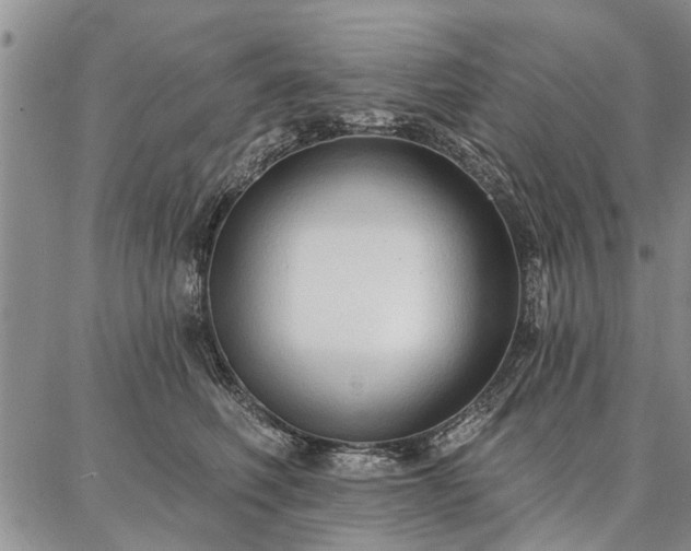 X0000086880614200704231104