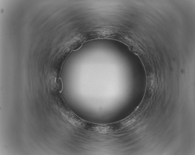 X0000086880615200704231104