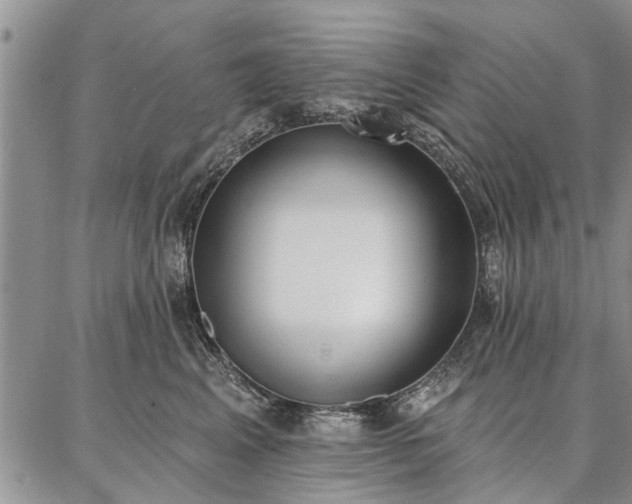 X0000086880617200704231104