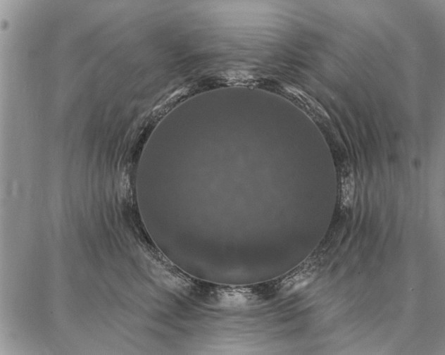 X0000086880618200704231104