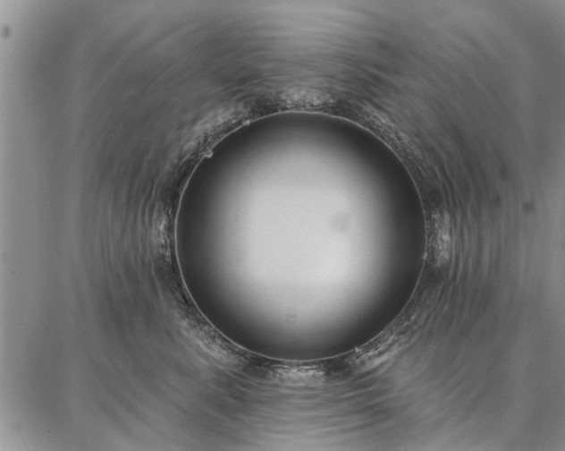 X0000086880619200704231104