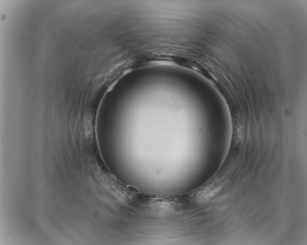 X0000086880620200704231104