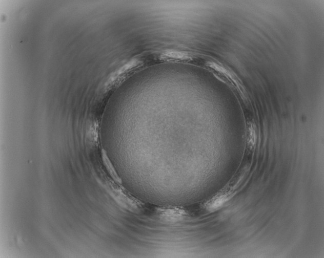 X0000086880621200704231104