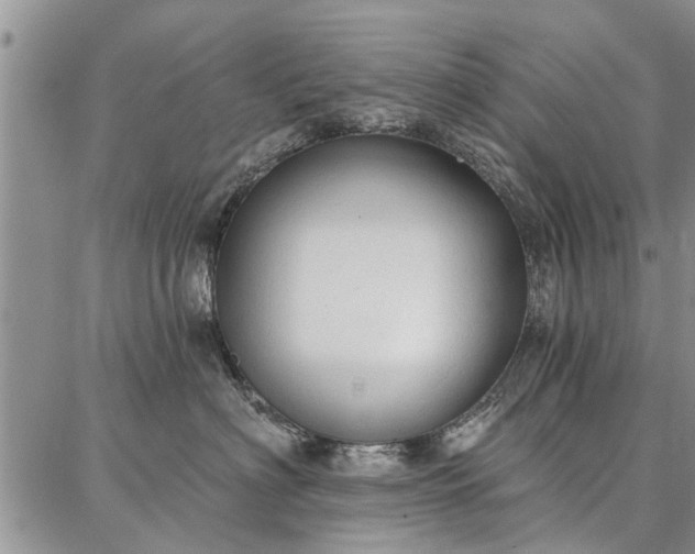 X0000086880622200704231104