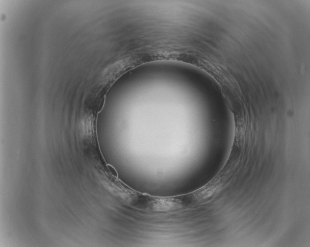 X0000086880623200704231104