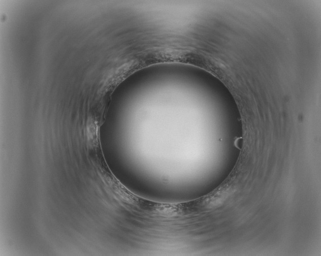 X0000086880624200704231104