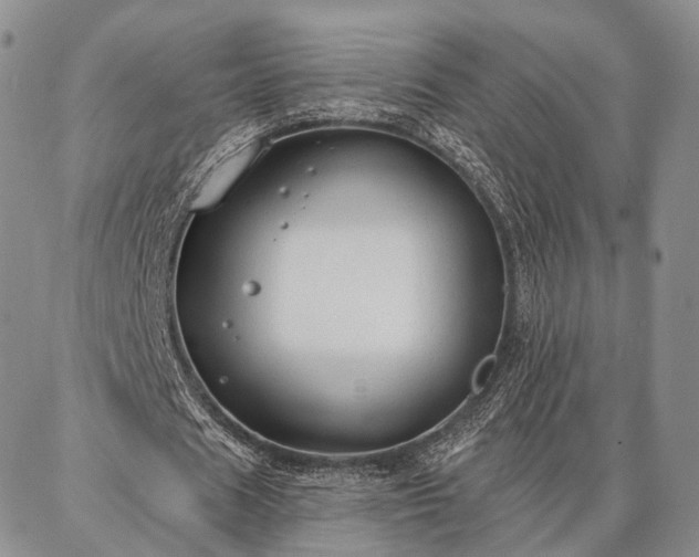 X0000086880625200704231103