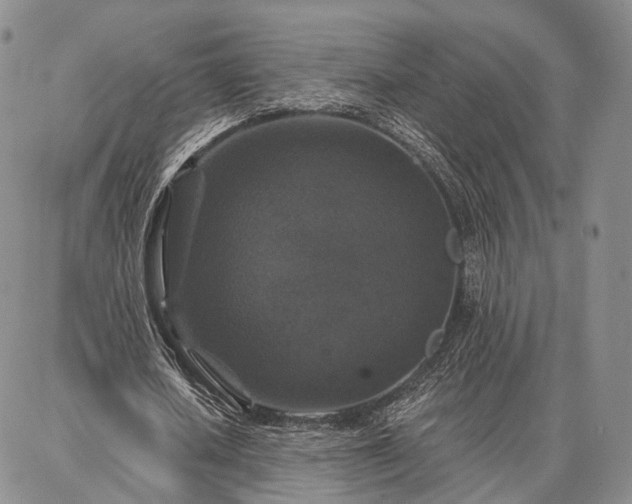 X0000086880626200704231104