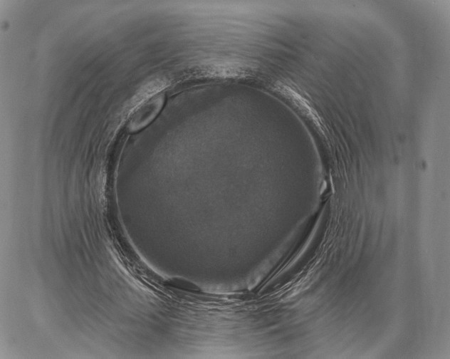 X0000086880627200704231104