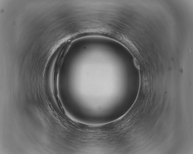 X0000086880628200704231104