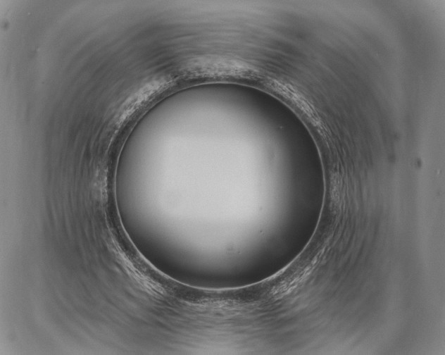 X0000086880629200704231104