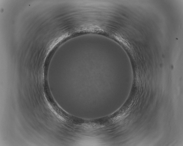 X0000086880630200704231104